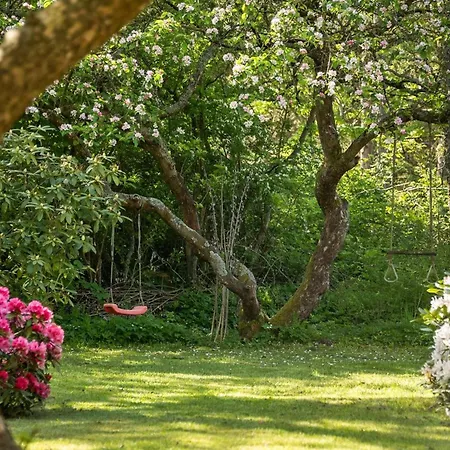 Casa vacanze Iiro - 2-5km From The Sea By Interhome