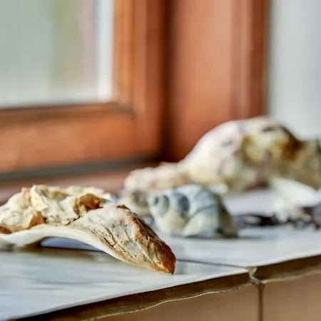 בית נופש Iiro - 2-5km From The Sea By Interhome Rømø Kirkeby